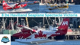 Epic De Havilland Spectacle 8 Seaplanes Soar Over Victoria Harbour [upl. by Ayotyal]