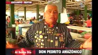 Don Pedrito amazónico el cusi cusá vuelve desde el Oriente peruano [upl. by Nnahsal591]