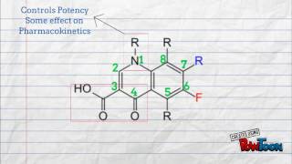 Quinolones  Structure Activity Relationship [upl. by Ameehs28]