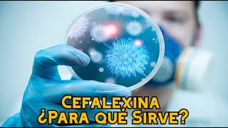 Cefalexina ¿Para qué Sirve [upl. by Raffarty305]