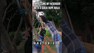 Impressing My Neighbor With A Quick Rope Walk treeclimbing arborist climbing rope ropewalk [upl. by Norvall724]