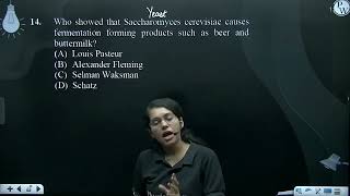 Who showed that Saccharomyces cerevisiae causes fermentation forming products such as beer and b [upl. by Kaycee527]