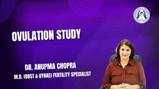 Ovulation Study By Dr Anupma Chopra at Chawla IVF Jalandhar india doctor ivf fertility [upl. by Ignazio680]