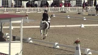 Ecco FEI European Championships 2013 Herning  ParaDressage Day 5 Highlights [upl. by Ailime]