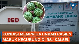 Pasien Mabuk Kecubung di RSJ Kalsel Bertambah Jadi 44 Orang Ada yang Tak Bisa Bicara [upl. by Ahsimaj]