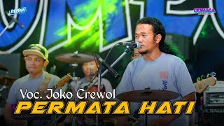 Permata Hati  Joko Crewol ft Omega Music Live Randu Padangan [upl. by Haisa532]