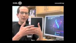 Cell division how chromosomeseparating structure forms [upl. by Atsylac884]