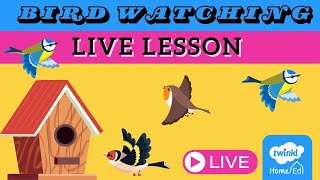 Bird Watching LIVE with Twinkl Home Ed [upl. by Aaronson83]