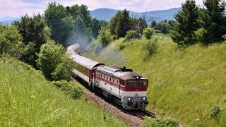 Vlaky Slovensko  ZSSK 754082 a 754073 na rýchlikoch v Turci train trains [upl. by Lanti]