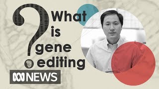 Why gene editing is so controversial  The World [upl. by Eedrahs24]