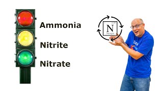 Aquarium Nitrogen Cycle made SIMPLE [upl. by Lsil372]