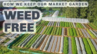 WEED FREE MARKET GARDENING Our no dig approach [upl. by Assiral]