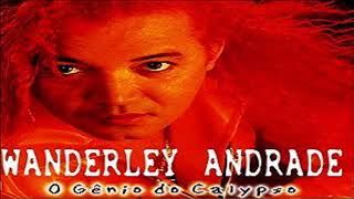 Wanderley Andrade  Conquista [upl. by Silvio]