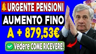 🚨APPROVATO OGGI BONUS DI 8753€ Per PENSIONI MINIME E INVALIDITÀ  Data di pagamento [upl. by Vigen]