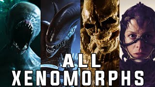 ALL Xenomorphs Explained [upl. by Sanborne]