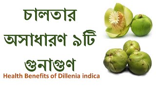 chaltar upokaritaচালতার উপকারিতাchaltar gunagunBest VideosHealth benefits of Dillenia indica [upl. by O'Mahony418]