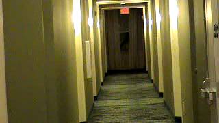 Full Hotel Tour Springhill Suites by Marriott in Alexandria VA [upl. by Dnomder]