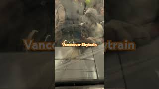 Vancouver skytrain 温哥华天车 Vancouver metrosubway station 溫哥華 travel 今天的地铁像不像时空穿梭 like space X [upl. by Nylisoj191]