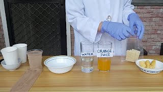 Digestive System Demo Do it at Home Experiment [upl. by Enak]