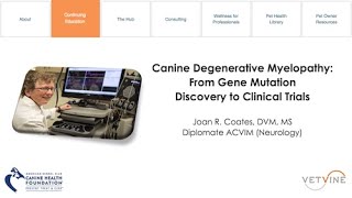 Canine Degenerative Myelopathy  Stages of Disease [upl. by Marcell905]