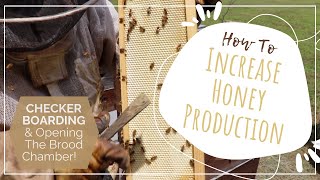 How to increase honey production Checkerboarding and opening the brood chamber [upl. by Adnarram920]