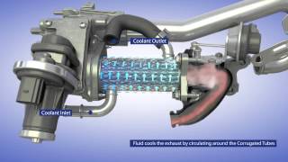 BorgWarner EGR System for Passenger Vehicle Applications [upl. by Ellerehc]