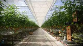 Ontario Greenhouse [upl. by Della]