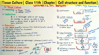 Tissue Culture  Basic Technique Class 11th Chapter Cell structure and function [upl. by Nesnah]