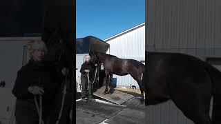 Trailer Training Clinic  March 9 2019 [upl. by Il]