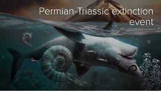 What was the PermianTriassic Extinction Event [upl. by Anak]