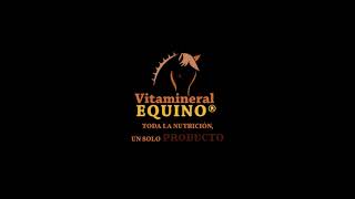 Vitamineral Equino [upl. by Schonfield]