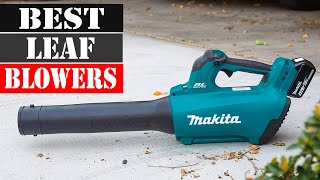 The 5 Best Leaf Blowers 2024 [upl. by Novello]