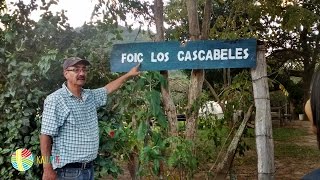 Kalupia  Pasión y tradición en Finca Los Cascabeles  Marcala La Paz [upl. by Ycnahc]