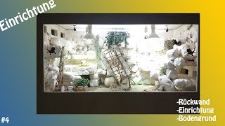 Das Bartagamen Terrarium Rückwand und Einrichtung Video 004 [upl. by Adnael]