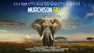 Murchison Falls A Wildlife Adventure short VR Documentary Film  8K 3D 360 [upl. by Hareemas]