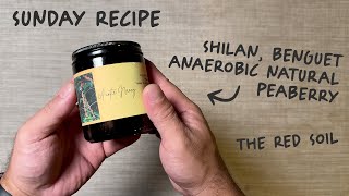 Sunday Recipe Shilan Benguet Anaerobic Natural Peaberry from The Red Soil [upl. by Supen]