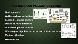 Anther and pollen culture  Androgenesis  Plant tissue culture  AZ Concepts guide [upl. by Yornek]