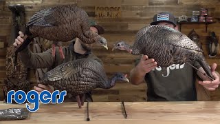 Feeding Hen Turkey Decoy Comparison [upl. by Sirahc279]