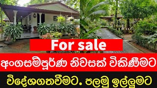 House for sale in yakkala  land for sale  apartment for sale  නිවසක් විකිණීමට  sri lanka [upl. by Tobie]