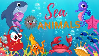 Sea AnimalsLearn Sea Animals names in English for kids Aquatic Animals [upl. by Ennairb]