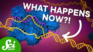 The First CRISPR Gene Therapy Is Here [upl. by Titus]