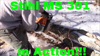 Stihl MS391 Review  In Action [upl. by Lamej]