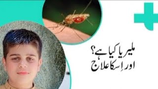 malaria fever symptoms and treatment  malaria ka ilaj [upl. by Bern559]