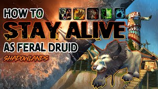 How to STAY ALIVE  Feral Druid Guide  Shadowlands PVP [upl. by Magen]