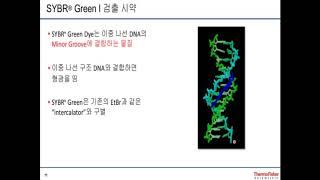 RealTime PCR의 정량 원리 및 응용 [upl. by Adnoral956]