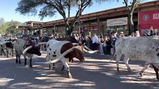 Stockyards Fort Worth Texas [upl. by Losyram]