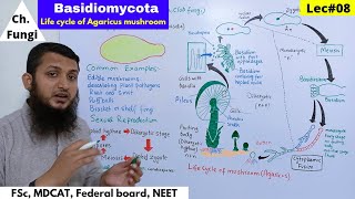 Basidiomycota  Life Cycle of Agaricus mushroom  Bio Part 01  Lec08 [upl. by Diahann]