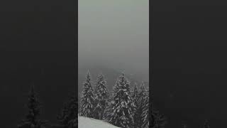 First snow of the year hits Kitzbühel Austria [upl. by Ayoras460]