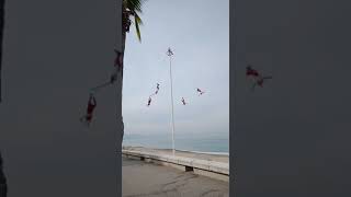 Voladores de Papantla en Puerto Vallarta 2022 [upl. by Nnylarej]