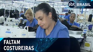 Escassez de costureiras é problema na indústria de confecção  SBT Brasil 200424 [upl. by Kimberly]